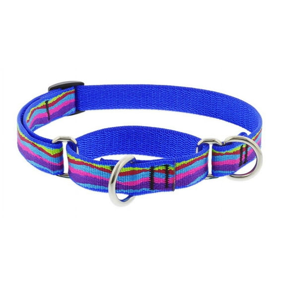 3/4in Ripple Creek 14-20 Martingale Dog Collar