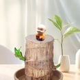 thumbnail image 6 of Ohmyroo Brazilian Wood Desk Ornament Mini Plant with Decorative Pot, 6 of 6