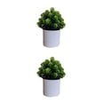 thumbnail image 2 of Bearachild 4 paquetes/lote fácil de limpiar planta falsa solución de bajo mantenimiento para plantas artificiales de interior bonsái de hojas Hierbas de nuez 2piezas, 2 of 6