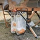 thumbnail image 2 of Bandeja de almacenamiento Irfora Bolsa de basura plegable, soporte para bolsa de basura para acampar al aire libre, soporte para bolsa de plástico, bolsa desechable para Picnic y cocina Irfora Bandeja de almacenamiento, 2 of 7