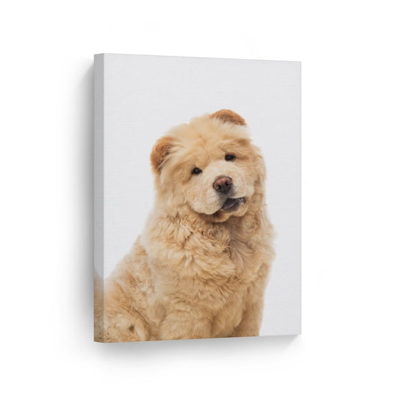 Smile Art Design Portrait of Cute Chow Chow Dog Sitting Animal Canvas Wall Art Print Pet Owner Dog Lover Mom Dad Gift Office Living Room Bedroom Kids Baby Nursery Room Decor Ready to Hang - 40x30