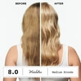 thumbnail image 6 of Clairol ColorStrong Permanent Zero Ammonia Hair Dye, 10.1 Extra Light Ash Blonde Maldives Hair Color, 1 Kit, 6 of 9