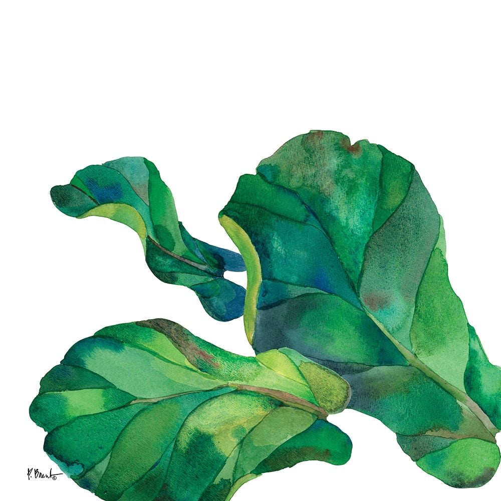 Palm Fronds II Poster Print by Paul Brent (24 x 24)