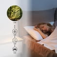 thumbnail image 4 of 14 Inch Wall Clock Battery Operated Silent Clock Decorative for Office, Kitchen, Outdoor, Living Room，Trunk Nature Green Sunlight Cute Design, 4 of 4