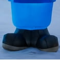 thumbnail image 5 of Gemmy Christmas Airblown Inflatable Yukon Cornelius with Tree, 6 ft Tall, Multicolored, 5 of 5