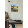 thumbnail image 6 of Epic Art 'Chamisa II' by Tim O'Toole, Acrylic Glass Wall Art, 12"x12", 6 of 7