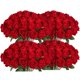 thumbnail image 1 of Rosas rojas artificiales de seda Jefuzh de imitación, 100 unidades, para decoración, 1 of 7