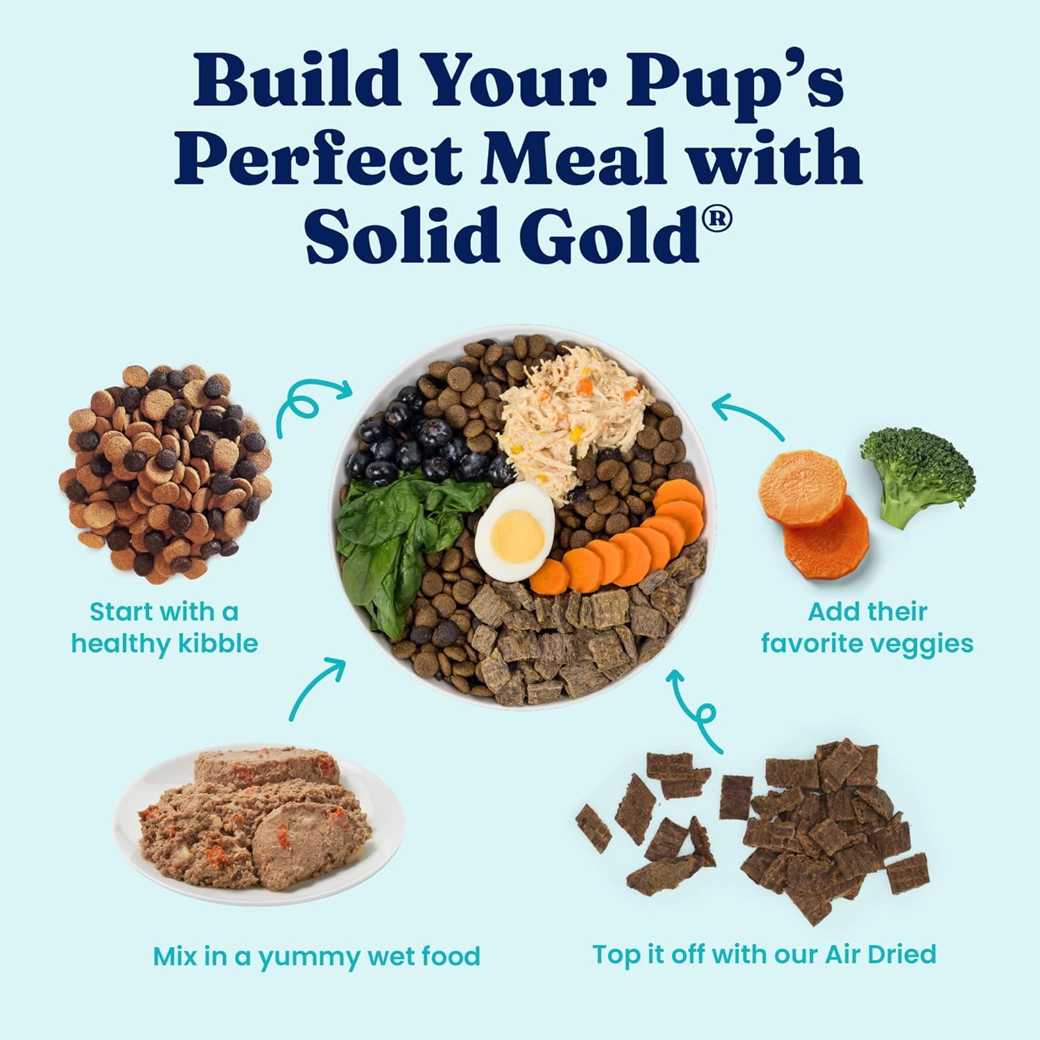 Solid Gold Leaping Water Wet Dog Food, Salmon, 13.2oz Can (Case of 6)