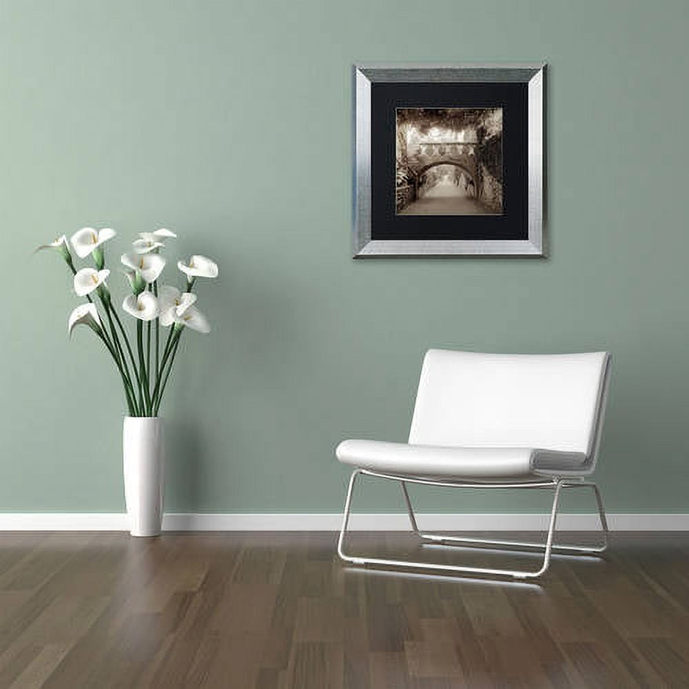 Trademark Fine Art "Giardini Italiano VI" Canvas Art by Alan Blaustein, Black Matte, Silver Frame