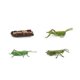 thumbnail image 1 of Modelo de figuritas en miniatura de saltamontes, juego de figuritas de juguete de criaturas WD.WDQZL Hogar, 1 of 1