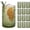 Green, variant on Large Hobnail Drinking Glasses Set of 6, 15oz Highball Glass Cups, Kitchen Drinkware Glassware,Embossed Water Tumbler,for Beer,Cocktail,Whiskey,Juice and Various Mixed Drinks(Clear)