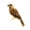 1, variant on New Artificial Bird Realistic Sparrow Taxidermy Figurine garden and home Decor - 1, as described 1