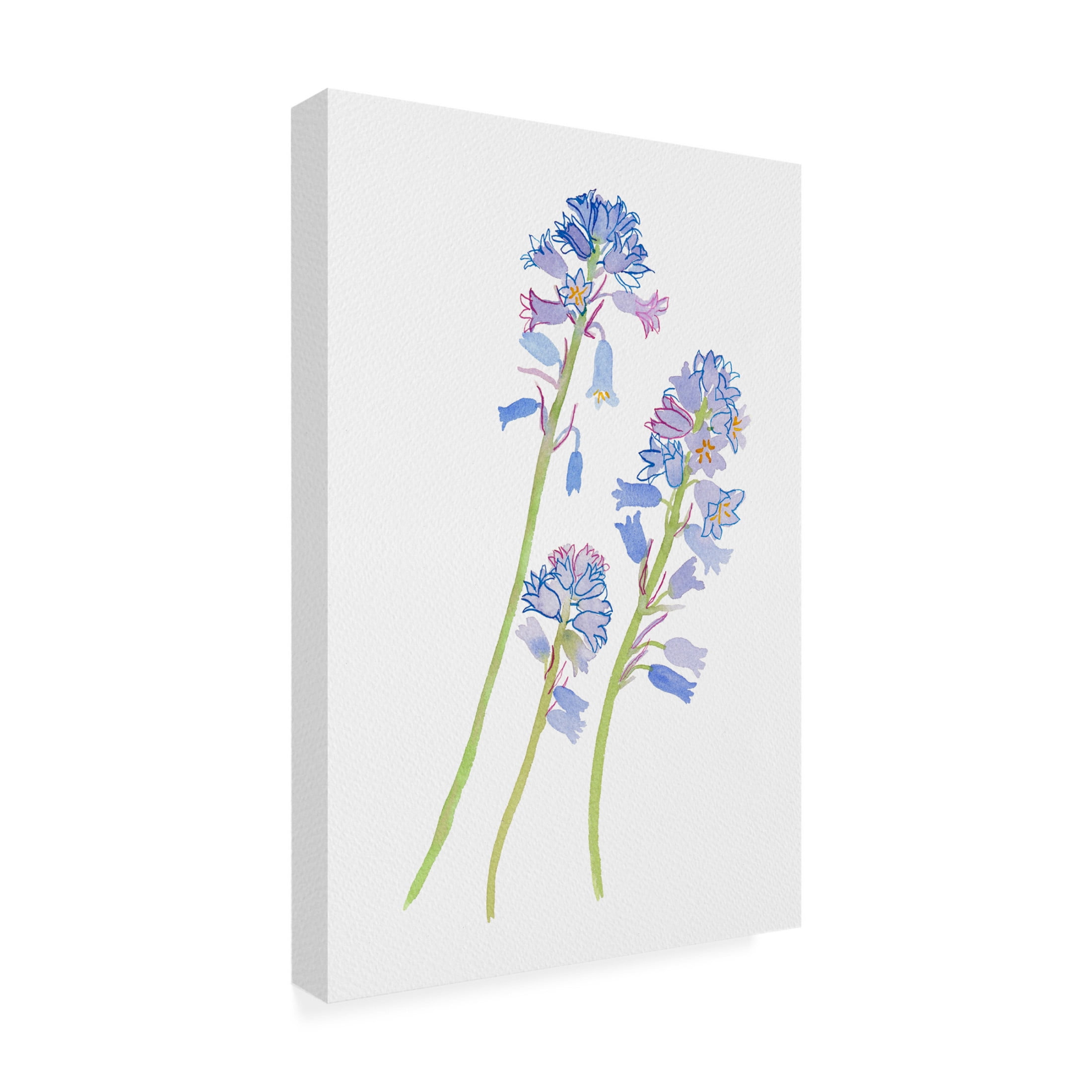 Trademark Fine Art Kata Botanical Hyacinthoides hispanica Canvas Wall Art