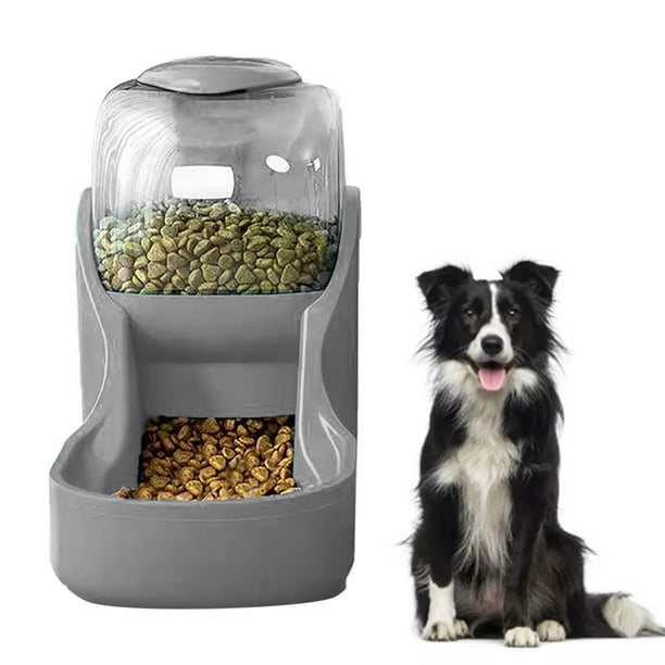 Automatic large hotsell dog feeder