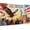 100（easy）, variant on Puzzles for Adults 300 Pieces USA Independence Day 250th Anniversary of the United States Statue Liberty Bald Eagle Wooden Decor Decompress Funny Game Holidays Wall Art Gift Jigsaw Puzzle