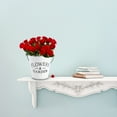 thumbnail image 4 of 1PC White Galvanized Plate Flower Pot for Indoor Flower Pots Simple and Bright Look 16x6.1in, 4 of 8