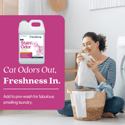 Cat Stain and Odor Eliminator: Enzyme Urine Odor Neutralizer and Stain Remover, 1 Gallon