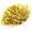 Gold, variant on OTVIAP Cheerleading Pom Poms, Cheer Pompoms,7 Colors 6pcs Cheerleading Pom Poms Party Dance Accessory Sports Pompoms Cheer