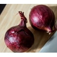 thumbnail image 3 of Red Grano Onion Seeds/ Biennial/ Full Sun/1775 Seeds 1/4 oz / Zellajake Farm and Garden - B52, 3 of 5
