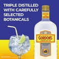 thumbnail image 2 of Gordon's London Dry Gin, 750 mL PET Bottle, 40% ABV, 2 of 10