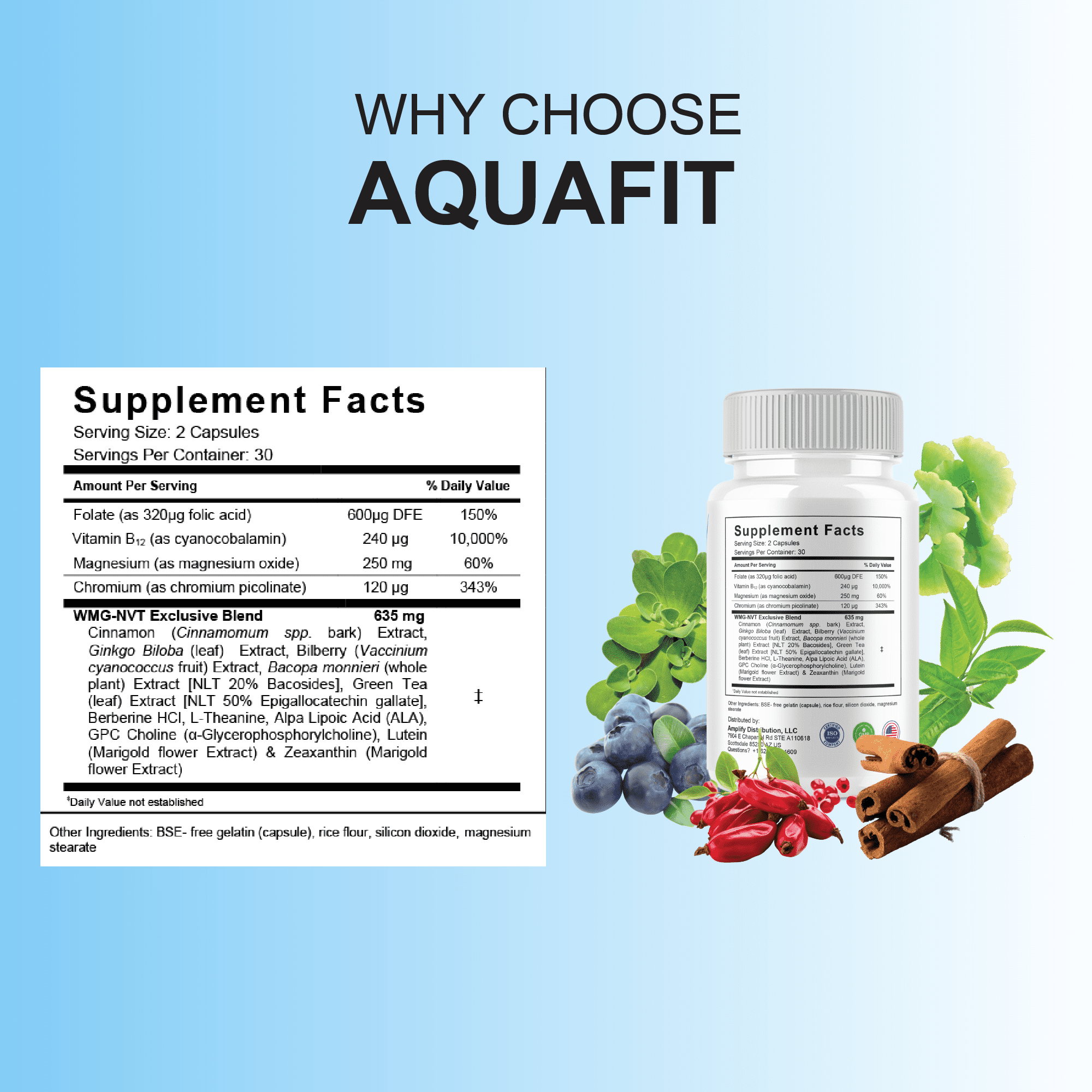 (2 Pack) Aqua Fit Advanced Weight Manangement, AquaFit Capsules (120 Capsules)