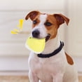 thumbnail image 4 of 8 Uds mascota perro cachorro masticar felpa sonido fruta serie juguetes interactivos juguetes de entrenamiento, 4 of 11