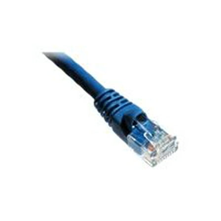 Axiom patch cable - 5 ft - blue