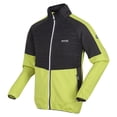 thumbnail image 3 of Regatta - Chaqueta Softshell Yare VII para Hombre (Algas Verdes, Gris Seal), 3 of 4