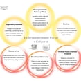 thumbnail image 2 of Paquete Suero Facial y Crema Corporal Despigmentante BRIDUNN Skincare Tratamiento Natural, 2 of 11