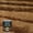 Early American, variant on Minwax Wood Finish Color Series, True Black, 1 Quart