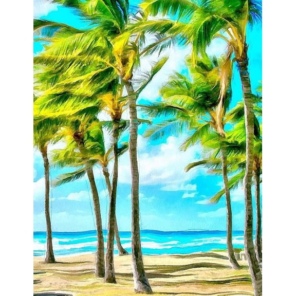 Palm Trees (Paperback)