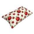 thumbnail image 3 of Kll Fruit Apples Pillow Covers Envelope Closure,Super Soft And Cozy Fuzzy Fleece Pillow Case Cover 16"X24", 3 of 9