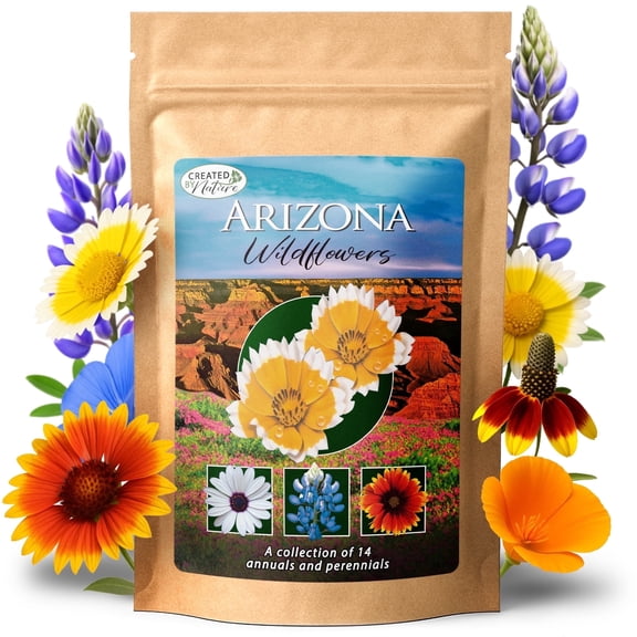 Arizona Wildflower Seed Mix With Poppy Seeds and Lupine Seeds, 14 Varieties, 30,000  Flower Seeds - Created By Nature