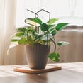 thumbnail image 4 of Garden Trellis for Vines and Climbing Plants Mini Plant Climbing Rack Durable Plant Support Frame Garden Tools for Houseplants and Vines Style A(3pcs), 4 of 8