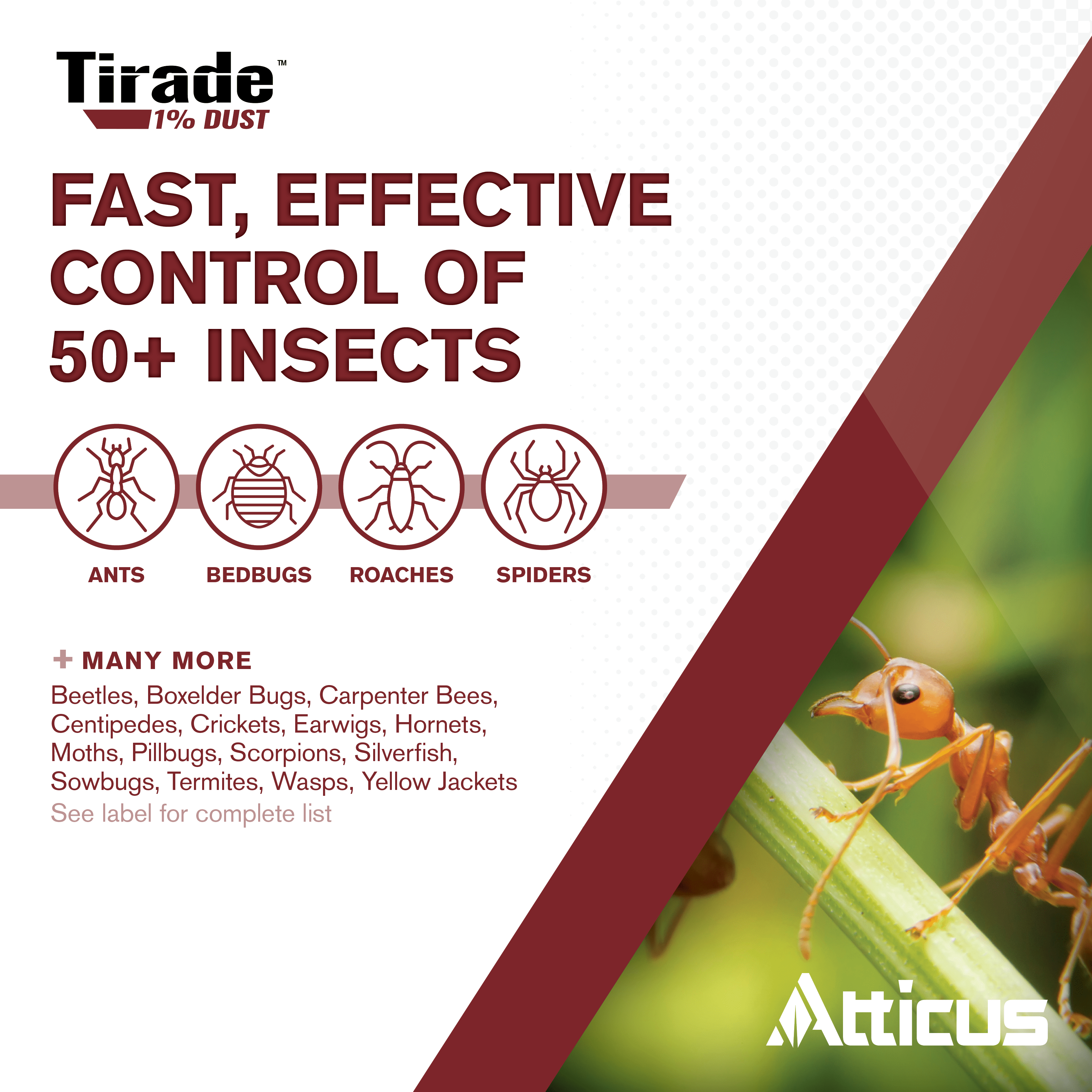 Tirade 1% Cyfluthrin Dust Insecticide (1.25 lb) - Ready-to-Use Insect Killer - Indoor and Outdoor Pest Control - by Atticus
