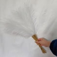 thumbnail image 1 of Artificial Pampas Grass Flfy Plants Bouquet Home Decor For DIY, 1 of 1
