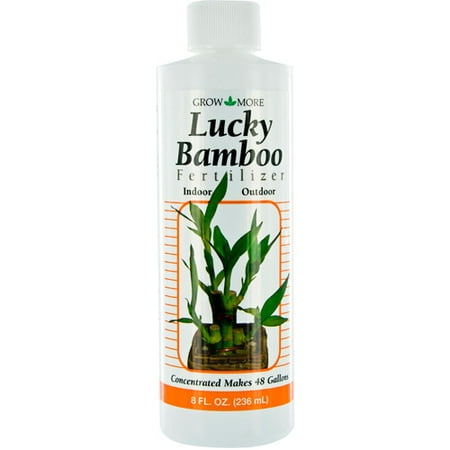 Grow More 7857 8 Oz Lucky Bamboo 2-2-2