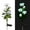 White, variant on Luxtrada Solar Powered Garden Stake Rose Lights,Outdoor LED Solar 5 Rose Flower Light, Waterproof IP65 Decoration Lights for Patio,Garden,Backyard (Yellow)