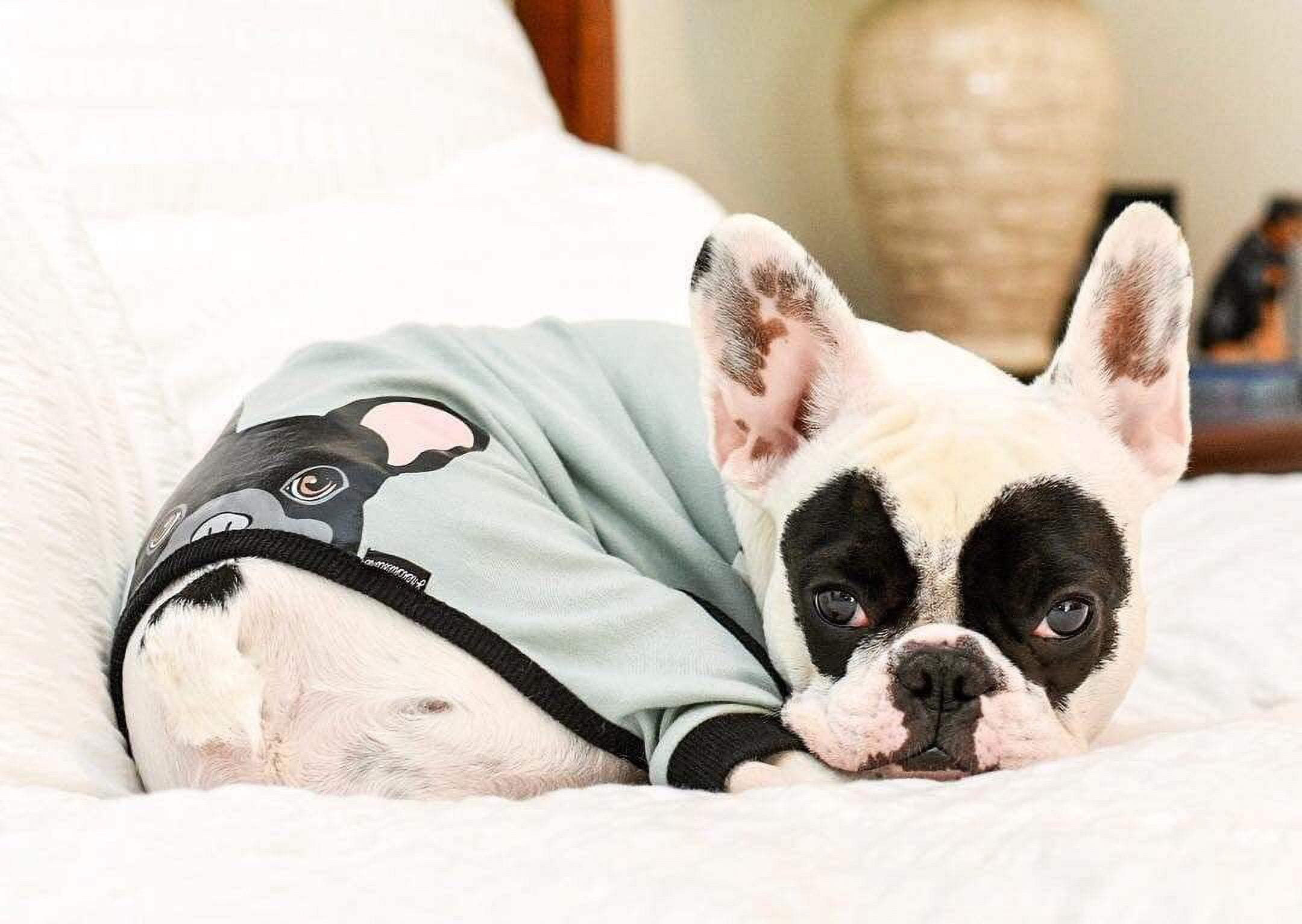 Frenchie blanket online hoodie