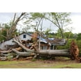 thumbnail image 2 of Tornado Aftermath In La Grange Georgia April 27 2011. History (36 x 24), 2 of 2
