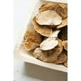 thumbnail image 3 of Kalalou Inc Bag Of 48 Dried Sponge Mushrooms, 3 of 4