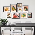 thumbnail image 3 of PixonSign Adhesive Canvas Print Wall Art Set - Pastel Watercolor Geometric Birds Poster Art - Spring Animals Print Gallery Set of 9 Abstract Illustrations Wall Décor for Home - Unframed, 3 of 5