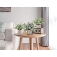 thumbnail image 4 of Der Rose 3 Pack Mini Potted Fake Plants Artificial Plastic Eucalyptus Plants for Home Office Desk Room Decoration, 4 of 6