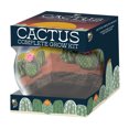 thumbnail image 2 of Buzzy Cactus Succulent Garden Terrarium Grow Kit, 2 of 5