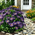thumbnail image 4 of Outdoor Artificial Daisy Flowers UV Resistant Greenery Faux Shrub Bouquet for Hanging Planter Porch Garden Wedding Party Indoor Home Decor, 4 of 6