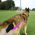 thumbnail image 7 of Syenll Rope Dog Leash, 5 ft Highly Reflective Threads Leash with Comfortable Padded Handle for Small Medium Large Dogs, Purple, 7 of 7