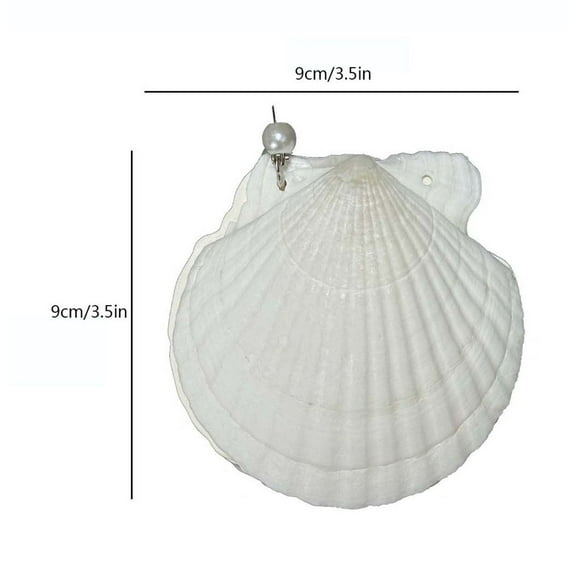 Small Notebook Hardcover Small Journaling Notebooks Abalone Palm Fan Diary Book Gift Natural Art Sketching Book for Back to College,Office Supplies, Journal