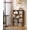Rustic Brown, variant on 4-Tier Bookshelf, 42.5 Inch Tall Bookcase with 2 Adjustable Shelves, Space-Saving Storage Organizer for Living Room Home Office, Cloud White