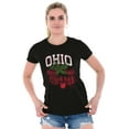 thumbnail image 3 of Ohio Stenciled Buckeye Leaf OH Cool Womens Fitted Plus Size Graphic Tee Brisco Brands 2X, 3 of 5