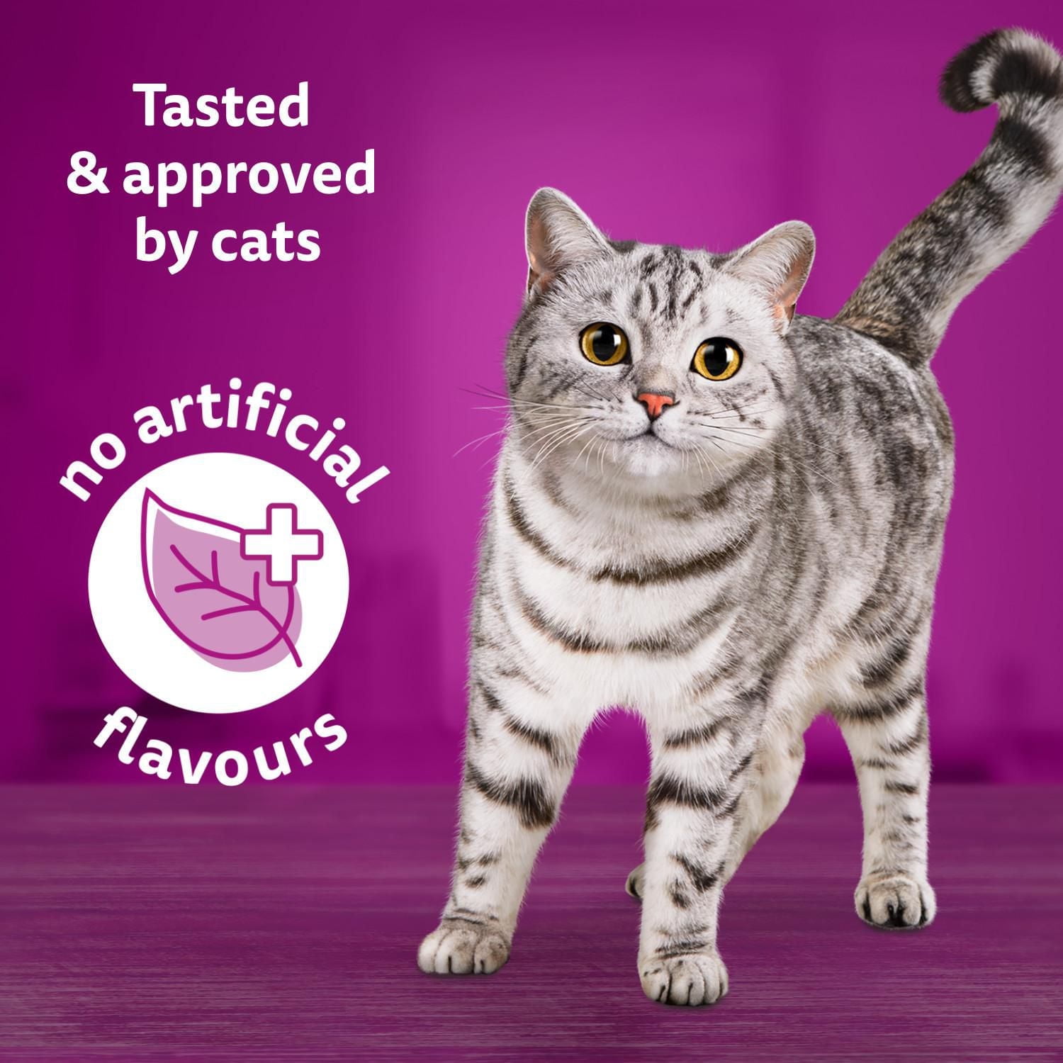 Whiskas Salmon & Poultry Selections Paté Variety Pack Adult Wet Cat Food